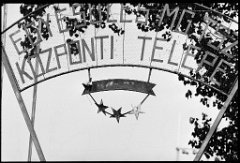 MGTSZ firma - 1988.jpg